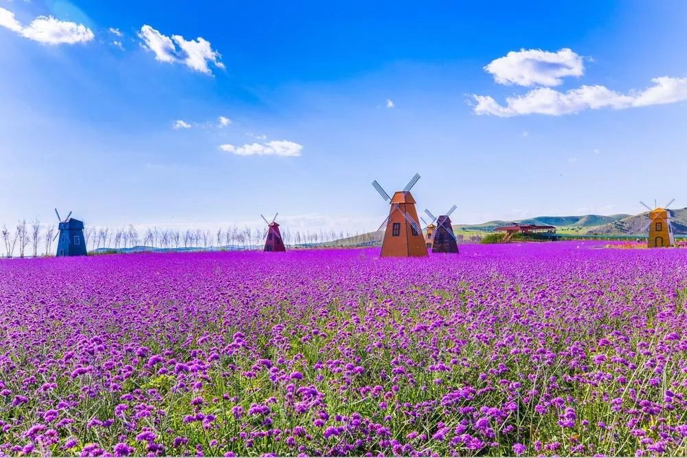 豐寧壩上天馬飛行小鎮(zhèn) 童話草原景區(qū)