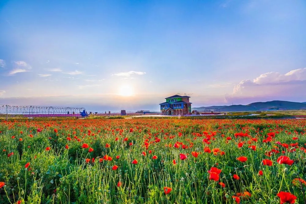 豐寧壩上天馬飛行小鎮(zhèn) 童話草原景區(qū)